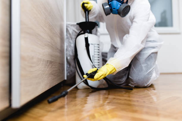 Best Affordable Pest Control Services  in Mukilteo, WA