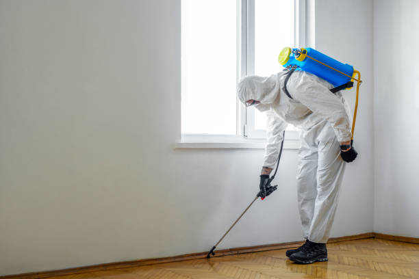 Best Rat Extermination Near Me  in Mukilteo, WA