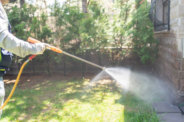 Bird Control in Mukilteo, WA