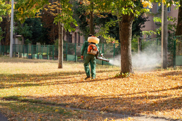 Pest Control for Restaurants in Mukilteo, WA