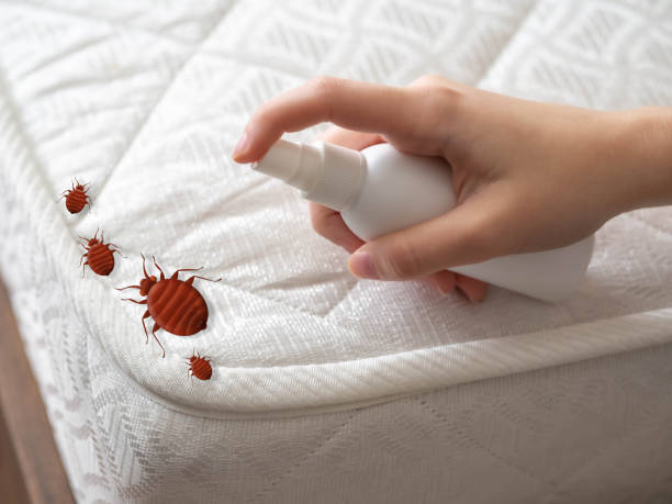 Best Bed Bug Extermination  in Mukilteo, WA