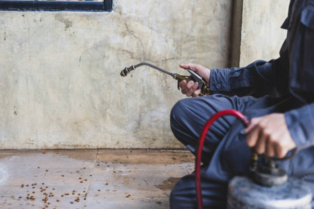 Best Termite Control Services  in Mukilteo, WA