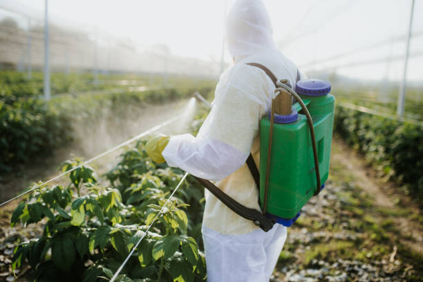 Best Ant Control Services  in Mukilteo, WA